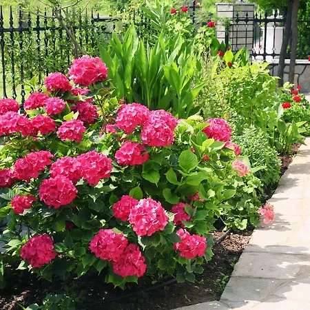 Philoxenia Prinos (Thasos)